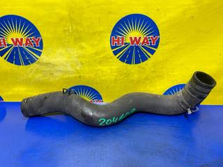 Фото запчасти патрубок радиатора NISSAN PRIMERA 2002 контрактная запчасть Запчасть патрубок радиатора NISSAN PRIMERA 2002