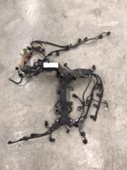 Жгут проводов двигателя BMW M3