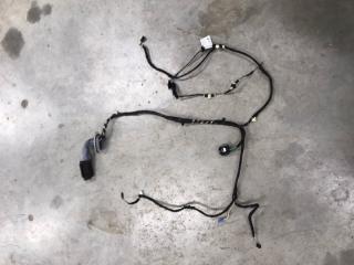 Жгут проводов двери задний левый BMW 3 03.13.2013