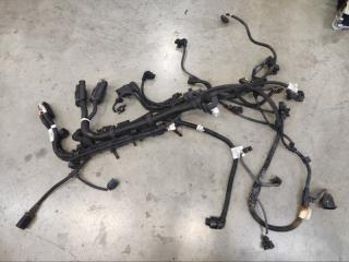 Жгут проводов двигателя BMW M6 2016