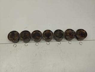 Поршень BMW X5M 2009