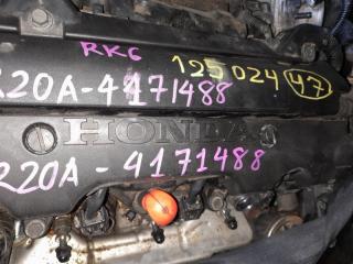 Ролик натяжной STEPWGN 2013 RK6 R20A