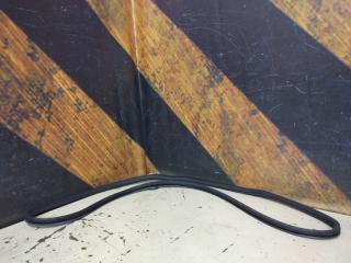 Уплотнительная резинка передняя AUDI A6 Allroad 2006