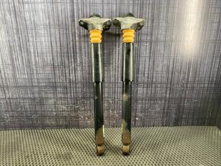 Амортизаторы задние Volkswagen Passat Variant 2008