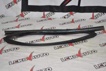 Уплотнитель стекла двери задний левый Nissan Stagea 2001