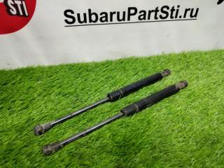 Запчасть амортизаторы крышки багажника Ford Focus 2004