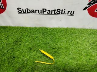 Запчасть крышка бочка омывающей жидкости Ford Focus 2004