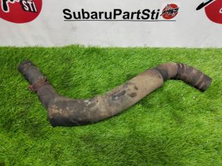 Запчасть патрубок радиатора нижний Hyundai Sonata 2006