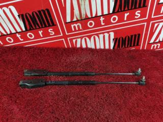 Амортизатор багажника задний NISSAN AD 1999-2008