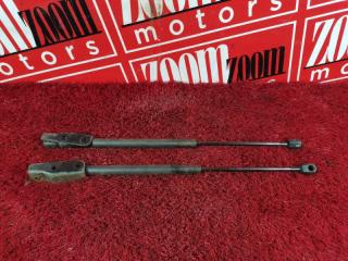 Амортизатор багажника задний NISSAN AD 1999-2005