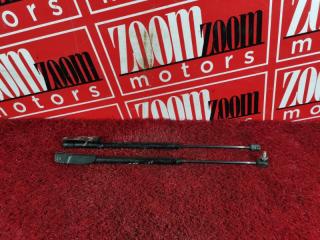 Амортизатор багажника задний NISSAN AD 1999-2008