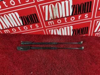 Амортизатор багажника задний NISSAN AD 1999-2008