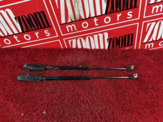 Амортизатор багажника задний NISSAN AD 1999-2008