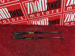 Амортизатор багажника задний NISSAN AD 1999-2008