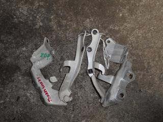Петля капота LEXUS LS600H UVF45 53420-50080 2 ракурс