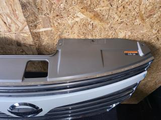 Решетка радиатора NISSAN ELGRAND PNE52 5 ракурс