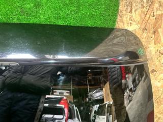Дверь 5-я HONDA ODYSSEY RB4 4 ракурс