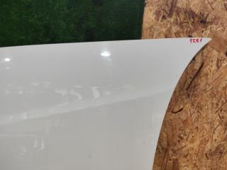 Капот AUDI A3 8PA 4 ракурс