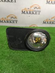 Запчасть туманка правая TOYOTA WISH