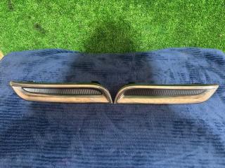 Заглушка бампера NISSAN ELGRAND PNE52 62087-1JB0A 1 ракурс