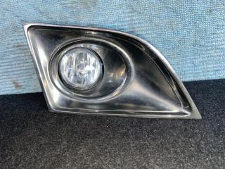 Туманка правая  NISSAN ELGRAND TNE52 ,2704 1 ракурс