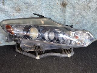 Фара правая  NISSAN MURANO TNZ51 ,100-63958 1 ракурс