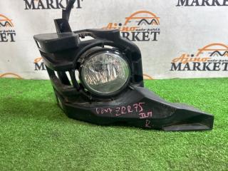 Туманка правая TOYOTA VOXY ZRR75 81481-28310 1 ракурс