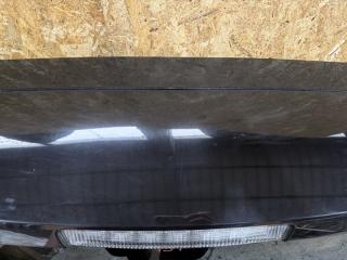 Дверь 5-я NISSAN ELGRAND TNE52 4 ракурс