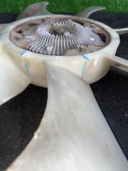 Вязкомуфта NISSAN SAFARI WRGY60 TD42T 21082-06J01 5 ракурс