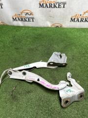 Петля капота TOYOTA COROLLA AXIO NZE144 1 ракурс Петля капота TOYOTA COROLLA AXIO NZE144 1 ракурс