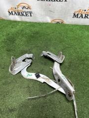 Петля капота TOYOTA COROLLA AXIO NZE144 4 ракурс Петля капота TOYOTA COROLLA AXIO NZE144 4 ракурс