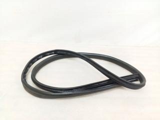 Запчасть уплотнитель проема двери передний правый Ford Focus 2019