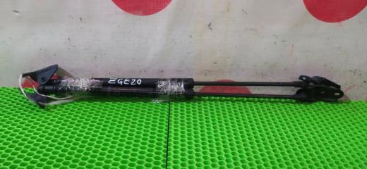 Амортизатор багажника Toyota Wish 2010