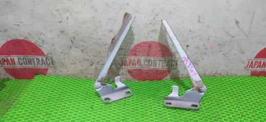 Запчасть петля капота Nissan Expert 1999