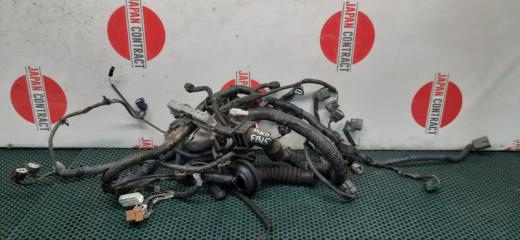 Запчасть проводка двигателя Nissan Sunny 2000