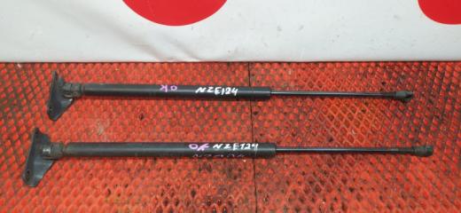 Амортизатор багажника Toyota Allex 2006