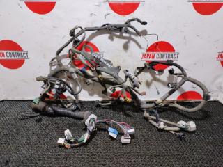 Проводка двигателя Toyota Altezza 2002 Б/У Проводка двигателя Toyota Altezza 2002
