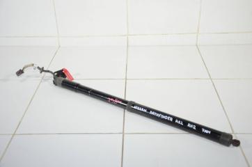 Амортизатор NISSAN PATHFINDER 2013