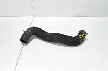 Патрубок радиатора NISSAN PATHFINDER 2016-2020 Б/У Патрубок радиатора NISSAN PATHFINDER 2016-2020