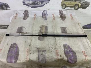 Амортизатор капота EXEED VX