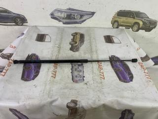 Амортизатор капота левый CHERY TIGGO