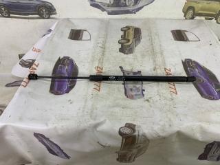 Амортизатор багажника CHERY TIGGO