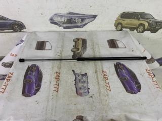 Амортизатор капота EXEED VX