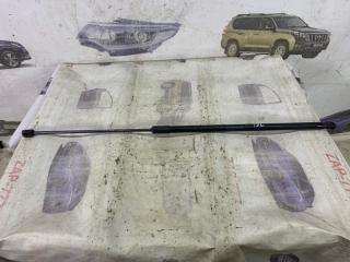 Амортизатор капота EXEED TXL