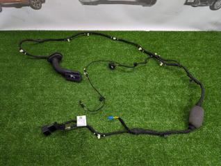 Проводка двери задняя правая BMW X5
