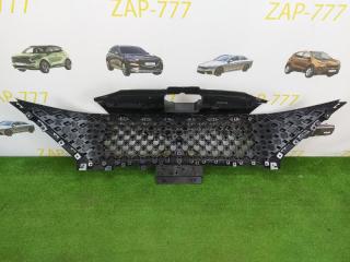 Решетка радиатора передняя C5