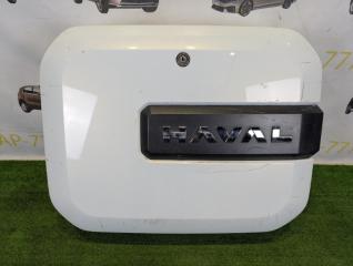 Ниша запасного колеса HAVAL H9