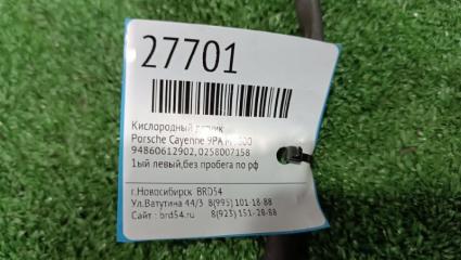 Кислородный датчик Cayenne 9PA M4800