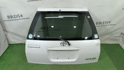 Дверь багажника задняя Toyota RAUM 2000