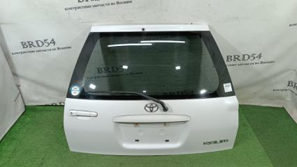 Дверь багажника задняя Toyota RAUM 1998